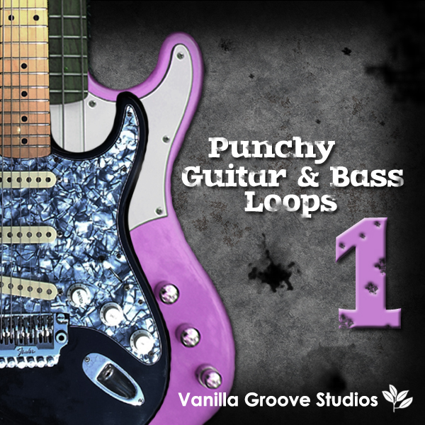 Bass on sale guitar loops