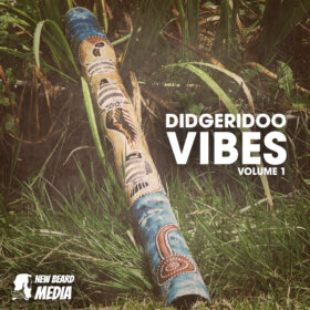 Didgeridoo Vibes 1
