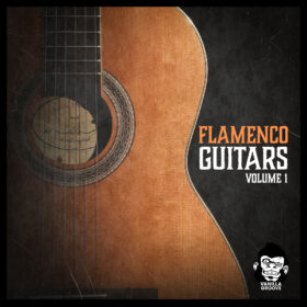 Flamenco Guitars Vol 1