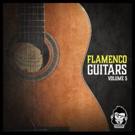 Flamenco Guitars Vol 5
