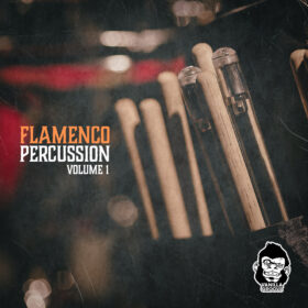 Flamenco Percussion Vol 1