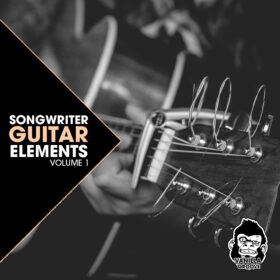 Songwriter Guitar Elements 1