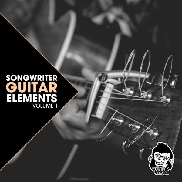 Songwriter Guitar Elements 1