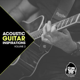 Acoustic Guitar Inspirations Vol 2