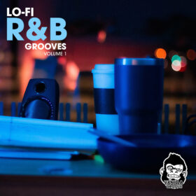 LoFi R&B Grooves Vol 1