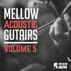 Mellow Acoustic Guitars Vol 5