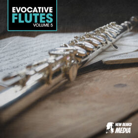 Evocative Flutes Vol 5