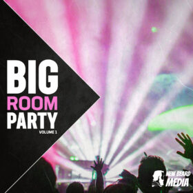 Big Room Party Vol 1