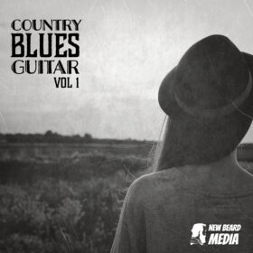 Country Blues Guitars Vol 1