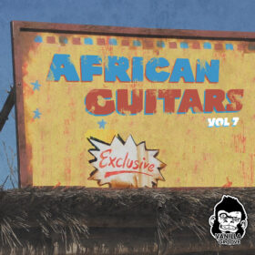 African Guitars Vol 7