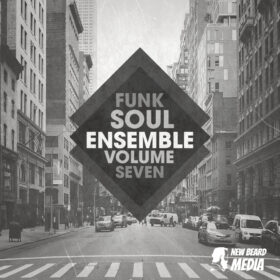 Funk Soul Ensemble Vol 7