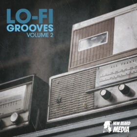 LoFi Grooves Vol 2