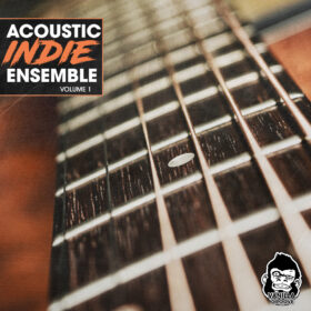 Acoustic Indie Ensemble Vol 1