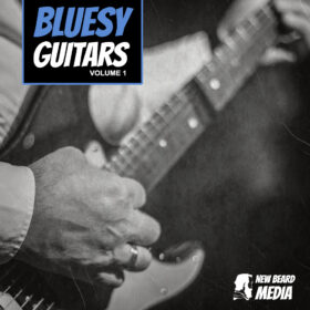 Bluesy Guitars Vol 1