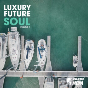 Luxury Future Soul Vol 1