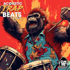 Acoustic Trap Beats Vol 2
