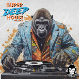 Super Deep House Vol 1