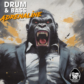 Drum and Bass Adrenaline Vol 1