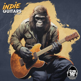 Indie Guitars Vol 1