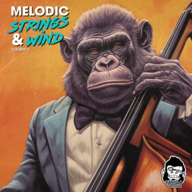Melodic Strings and Wind Vol 1