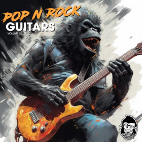 Pop n Rock Guitars Vol 1