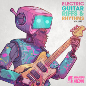 Electric Guitar Riffs & Rhythms Vol 1